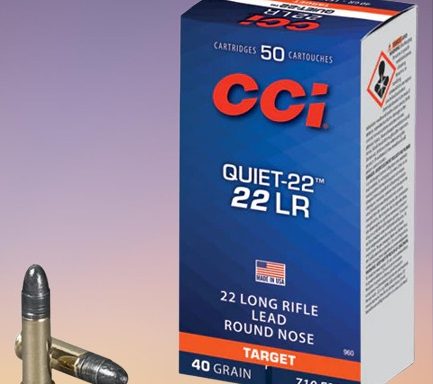 CCI TARGET 22LR