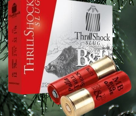 B&P BIG THRILL SHOCK 32gr BRENEKE CAL.12/70